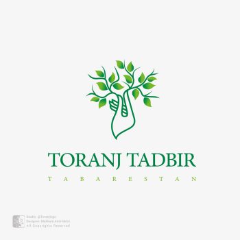 طراحی لوگوی شرکت ترنج تدبیر طبرستان