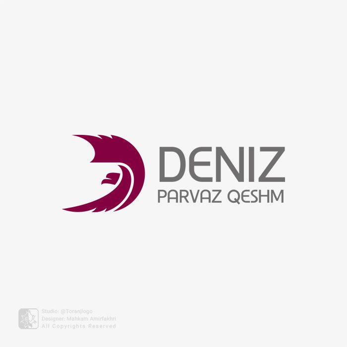 طراحی لوگو آژانس هواپیمایی دنیز پرواز قشم